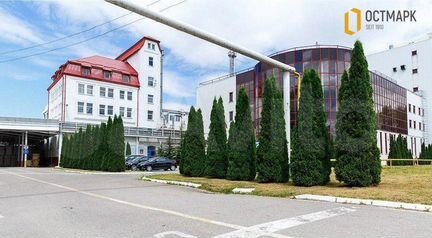 Офис, от 20 м² до 250м²