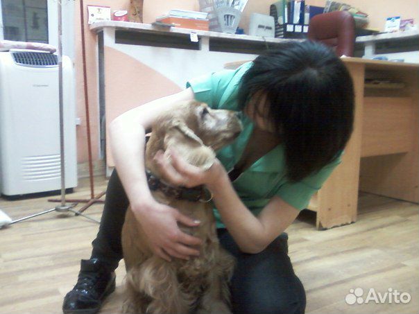 Вызов ветеринарного врача на дом