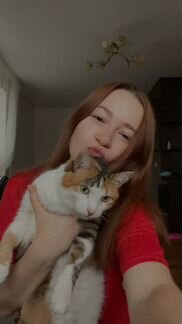 Передержка котов и котоняня на дом