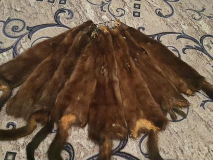 Шкурку норки