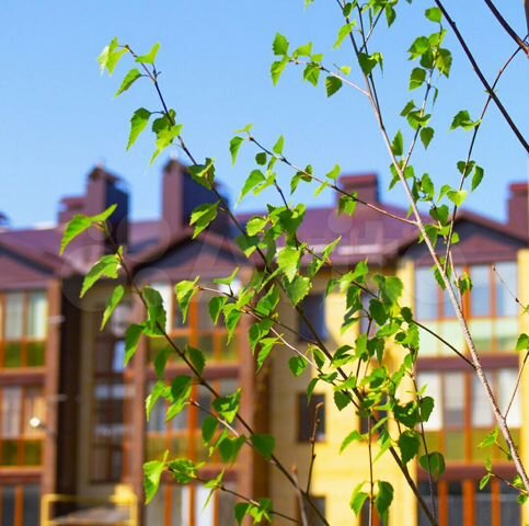 2-к. квартира, 76,1 м², 3/5 эт.