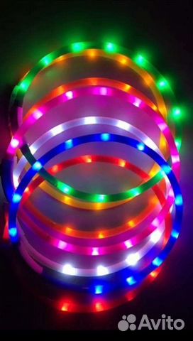 Аксессуары для собак