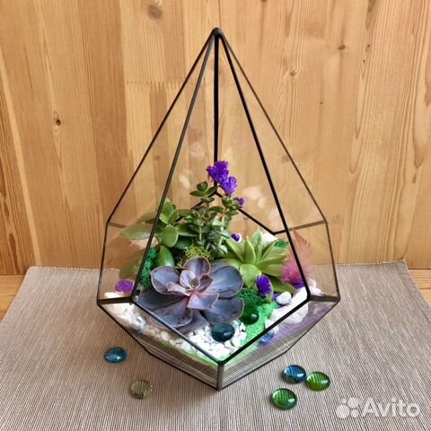 Флорариум капля (суккулент/кактус)