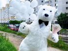 Шоу белого медведя,Самый впечатляющий персонаж объявление продам