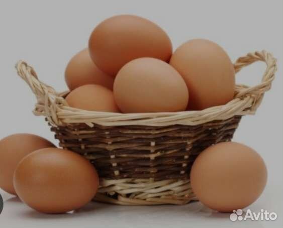 Продам домашние куриные яйца