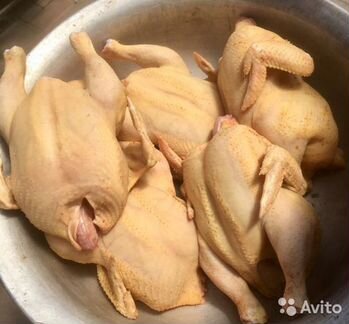 Куры бройлеры, мясо, цыплята