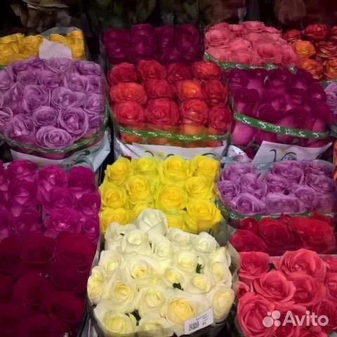 Розы и другие цветы оптом