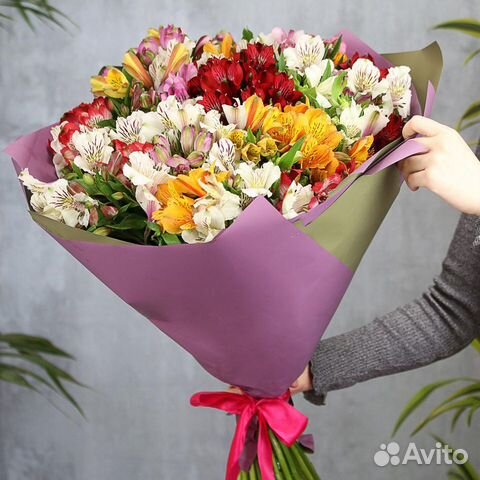 Купить цветы на авито в копейске купить цветы дериглазова курск