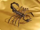 Чёрный скорпион. из пивных пробок,крышек объявление продам
