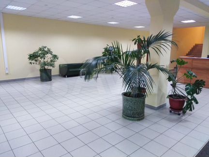 Сдам офисное помещение, 33.8 м²