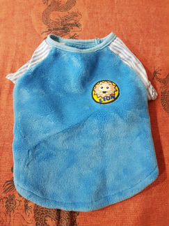 Одежда для собак