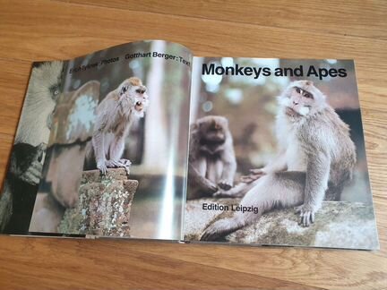 Книга Monkeys and Apes, 1985 г