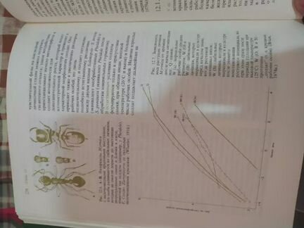 Книга общественные насекомые экология и поведение