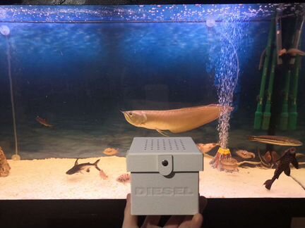 Коробка от часов diesel