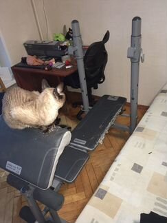 Силовые тренажеры бу