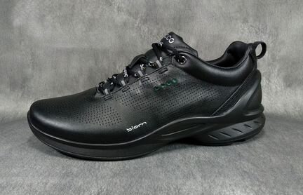 Ecco biom