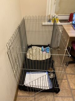 Вольер для собак