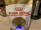 Royal canin british shorthair