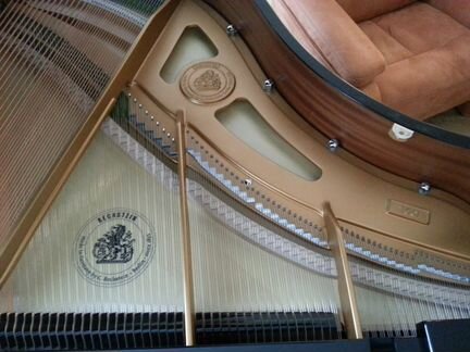 Продаю новый рояль Bechstein
