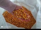 Кукуруза кормовая объявление продам