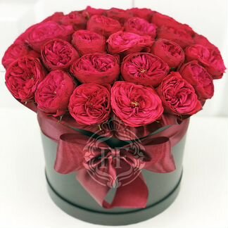 Розы пионовидные ред пиано