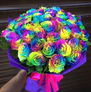 Цветные розы