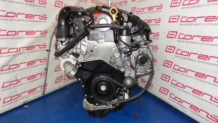 Двигатель Volkswagen Passat DDS