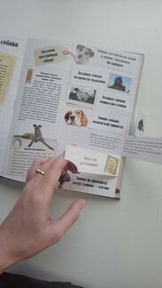Книжка сюрприз про собак