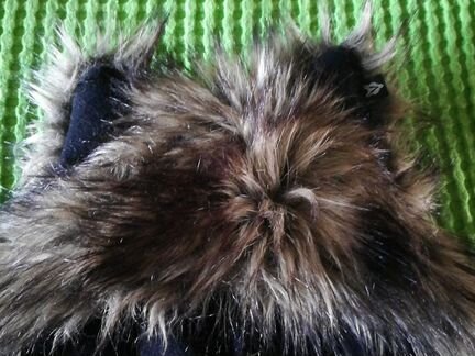 Шапка- волк