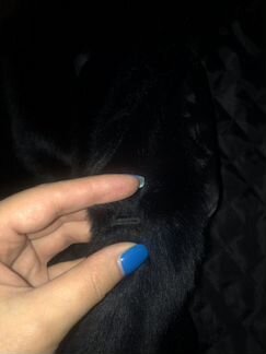 Искусственная шуба