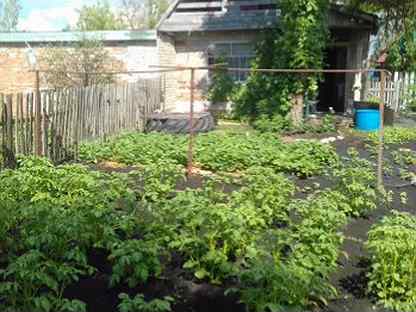 Авито куйбышев дачи. Дом куйбышева в нсо. Авито куйбышев дачи. Авито куйбышев. Помельцево.