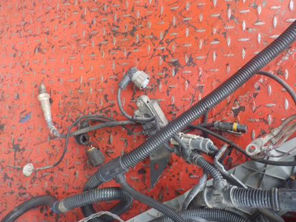 Электропроводка двигателя ман тгс 51254136090