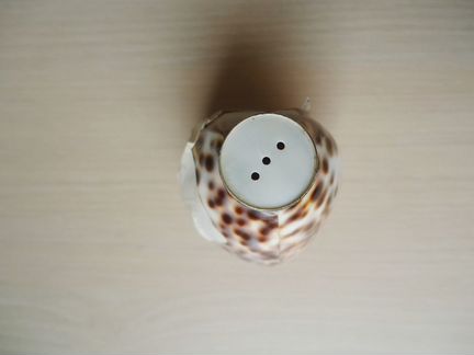 Солонки для соли и перца Zara Home